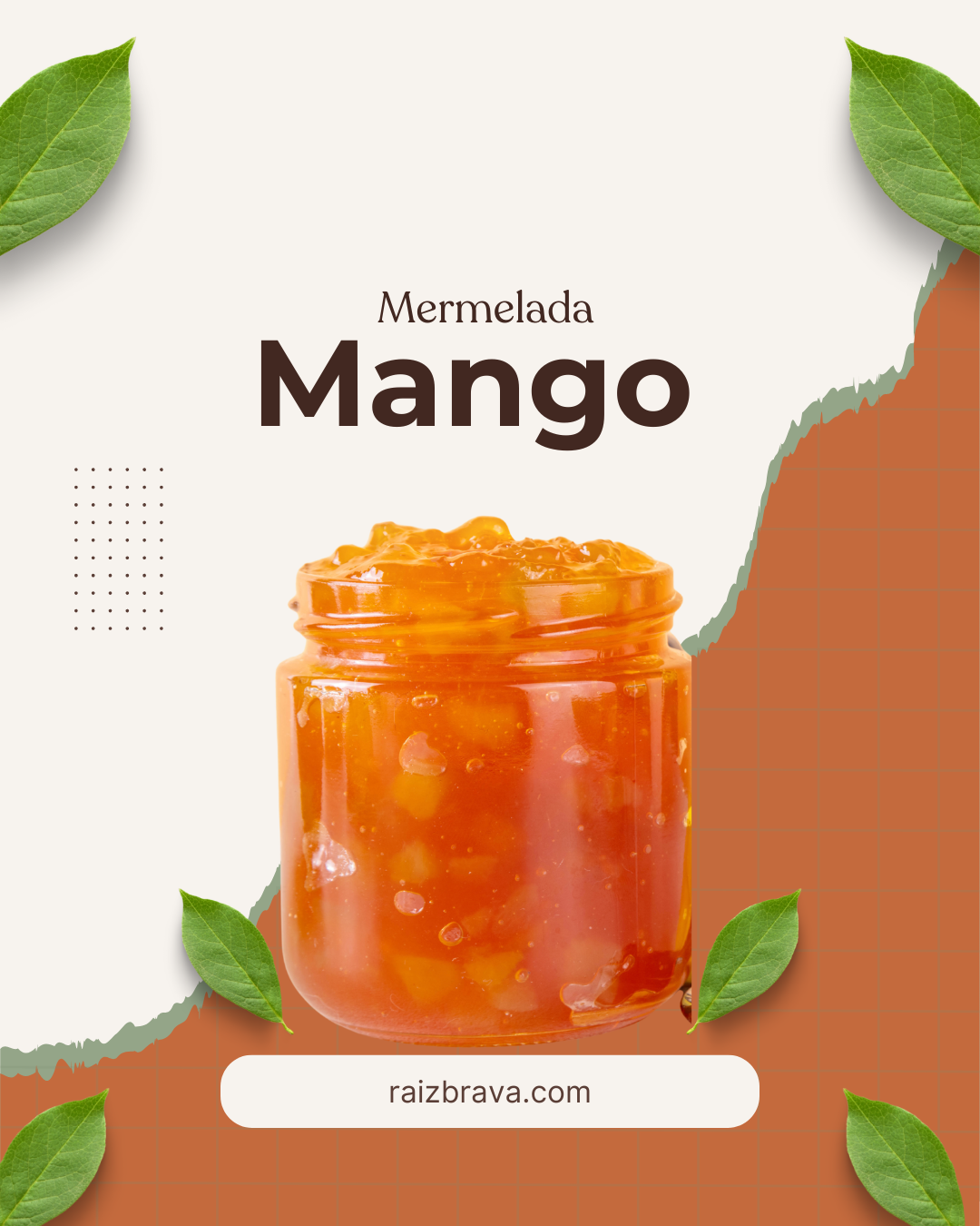 caldo de huesos caldo de huesos