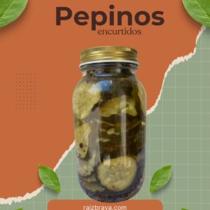 Inicio caldo de huesos