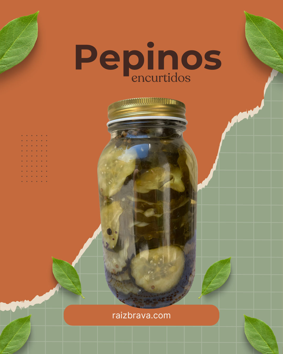 caldo de huesos caldo de huesos