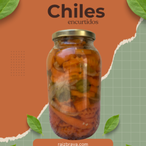 Inicio caldo de huesos